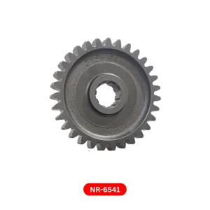 Gear 31T x 10S